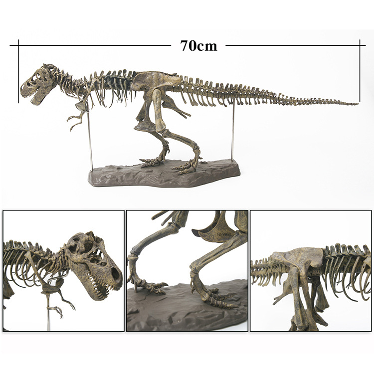 4D Tyrannosaurus Rex Excavation Science Kit Dig Out Dinosaur and Assemble a 4D Skeleton Animal Ancient Skull Fossil 70 cm Tyrannosaurus No box
